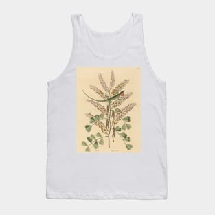 The Green Lizard of Jamaica by Mark Catesby Tank Top